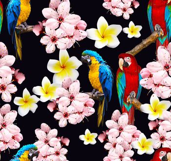 526341-时尚青年华亿平台  花卉  鹦鹉   