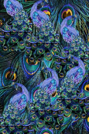 动物印花华亿平台图片