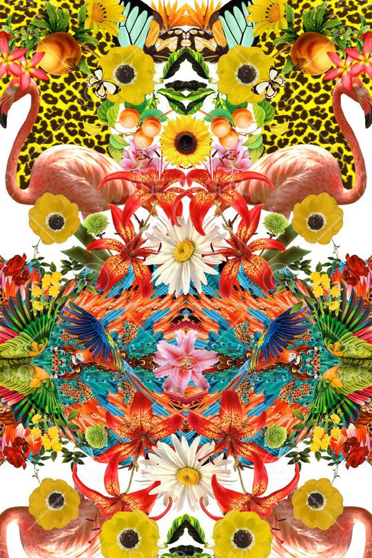 豹纹印花华亿平台图片