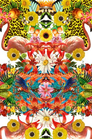 豹纹印花华亿平台图片