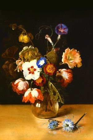 欧美 时尚印花华亿平台图片