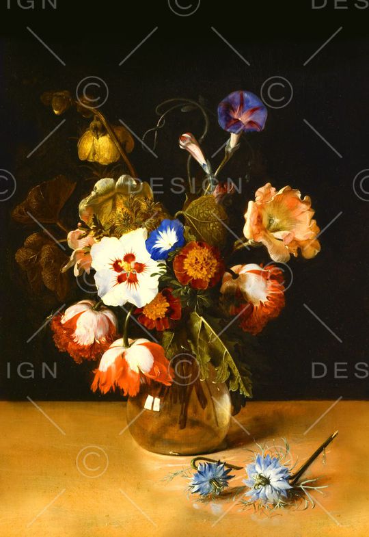 欧美 时尚印花华亿平台图片