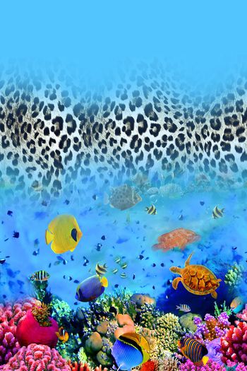 海底世界印花华亿平台图片