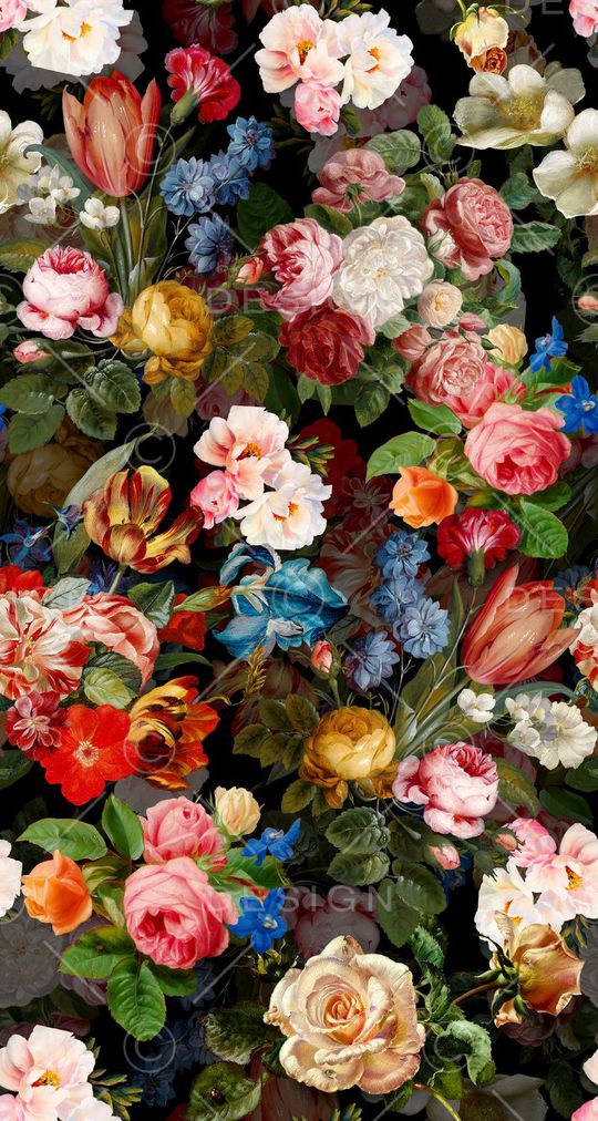 黑底印花华亿平台图片