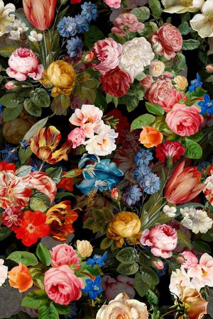 黑底印花华亿平台图片