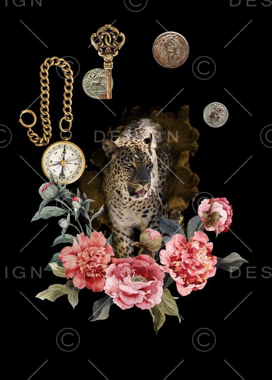 豹子印花华亿平台图片