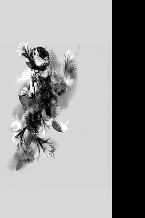 华亿平台印花华亿平台图片