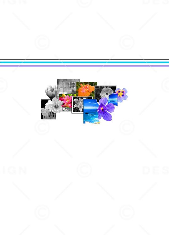 定位花印花华亿平台图片