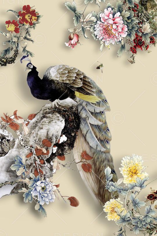 服装定位印花华亿平台图片