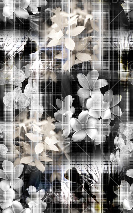 时尚印花华亿平台图片