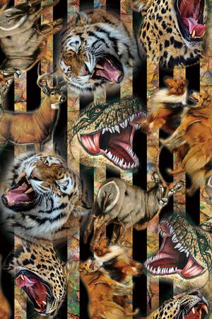 条纹几何印花华亿平台图片