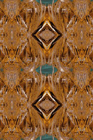 字母印花华亿平台图片