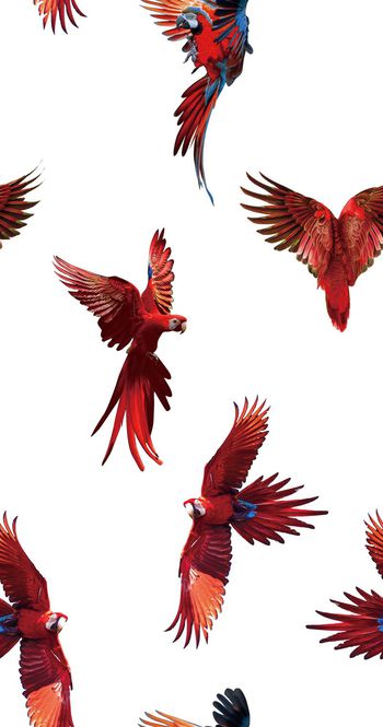 原创印花华亿平台图片