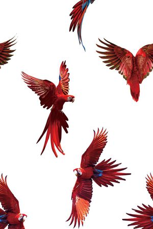 原创印花华亿平台图片