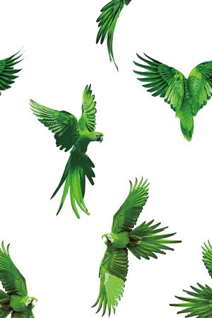 原创印花华亿平台图片