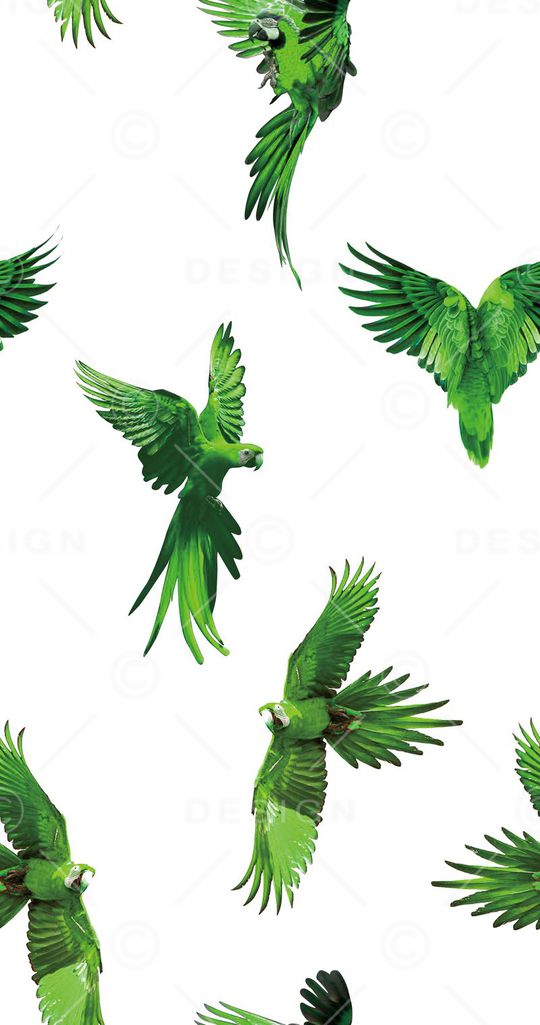 原创印花华亿平台图片