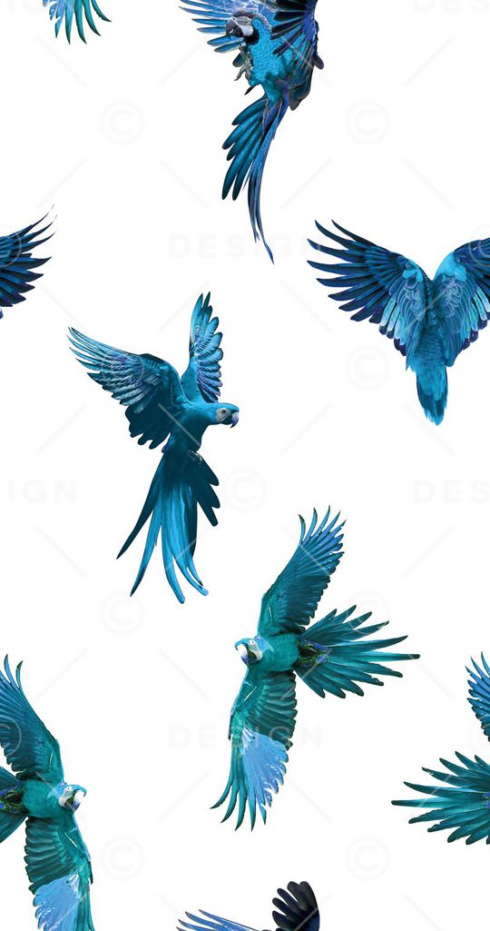 原创印花华亿平台图片