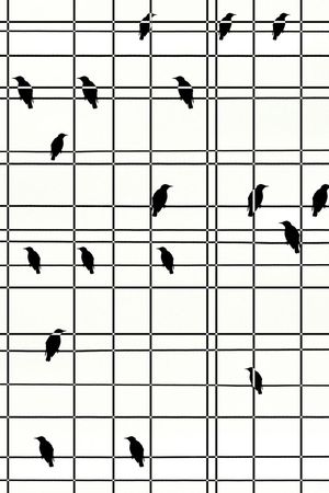 爆款印花华亿平台图片