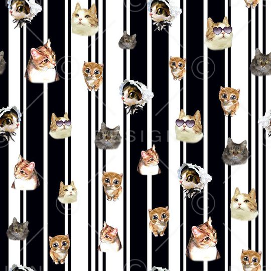 流行时尚竖条各色猫印花华亿平台图片
