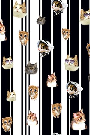流行时尚竖条各色猫印花华亿平台图片