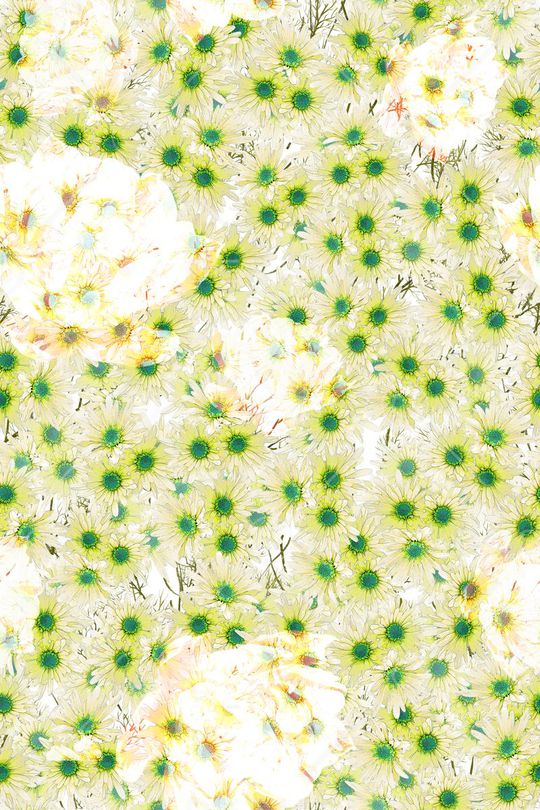 L.D~花卉印花华亿平台图片