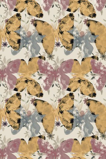 527304-cp手绘蝴蝶