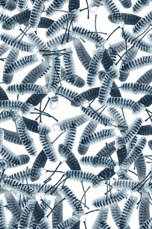 满版蓝色羽毛印花华亿平台图片