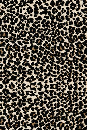 动物纹印花华亿平台图片