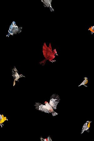 数码印花印花华亿平台图片