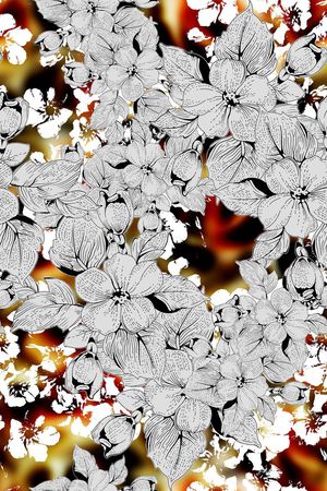 大气女装印花华亿平台图片