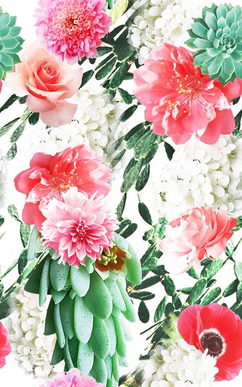 527993-时尚花卉组合