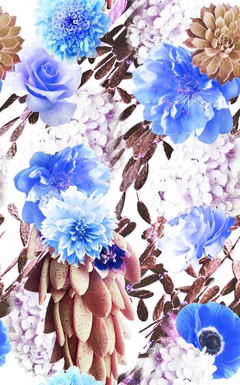 527995-时尚花卉组合