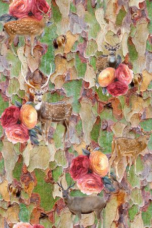 树木印花华亿平台图片