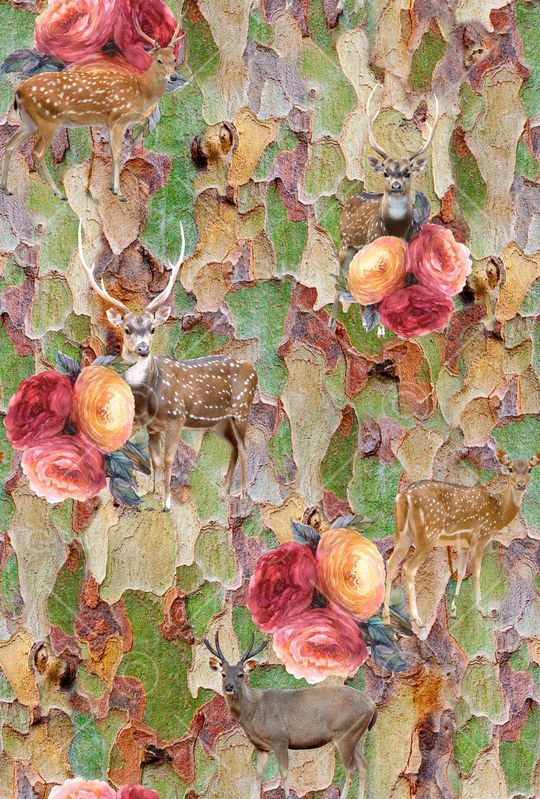 树木印花华亿平台图片