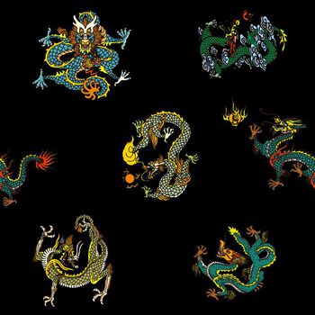 528254-中国风图腾中国龙古典纹理男装羽绒服