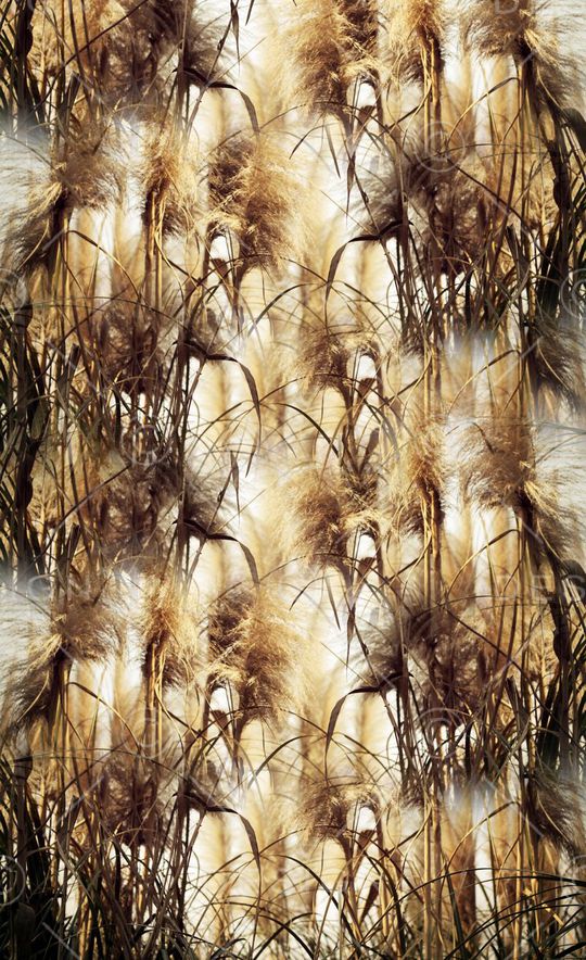 原创印花华亿平台图片