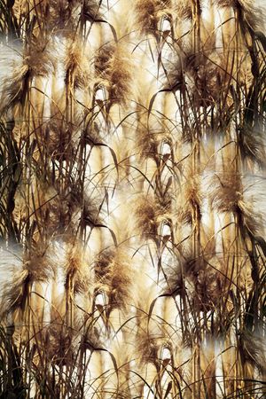 原创印花华亿平台图片