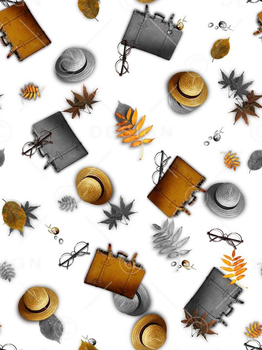 草帽 箱子 树叶 眼镜印花华亿平台图片