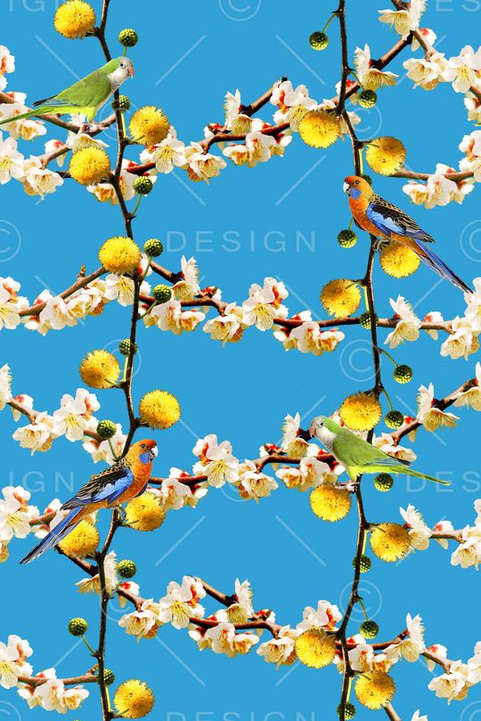 鸟印花华亿平台图片