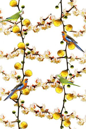 鸟印花华亿平台图片