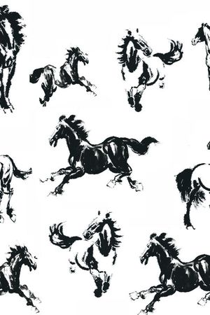 动物印花华亿平台图片