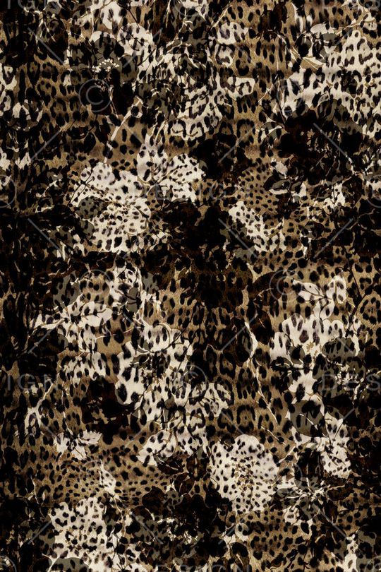 D&G印花华亿平台图片