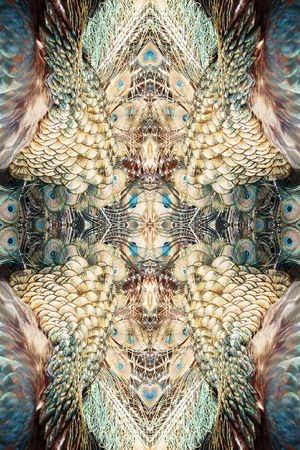 炫彩抽象印花华亿平台图片