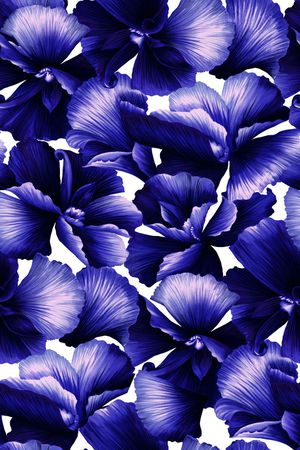 大花印花华亿平台图片