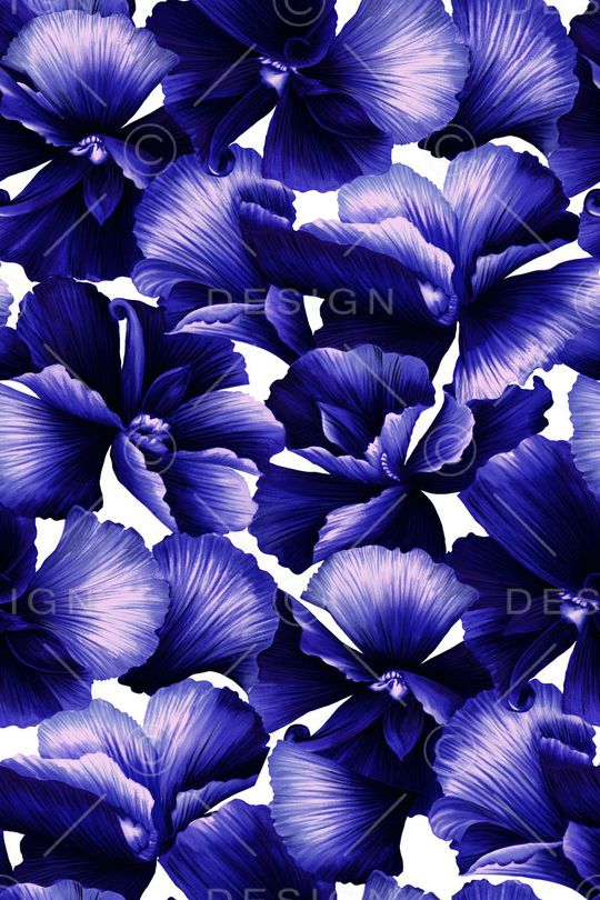 大花印花华亿平台图片