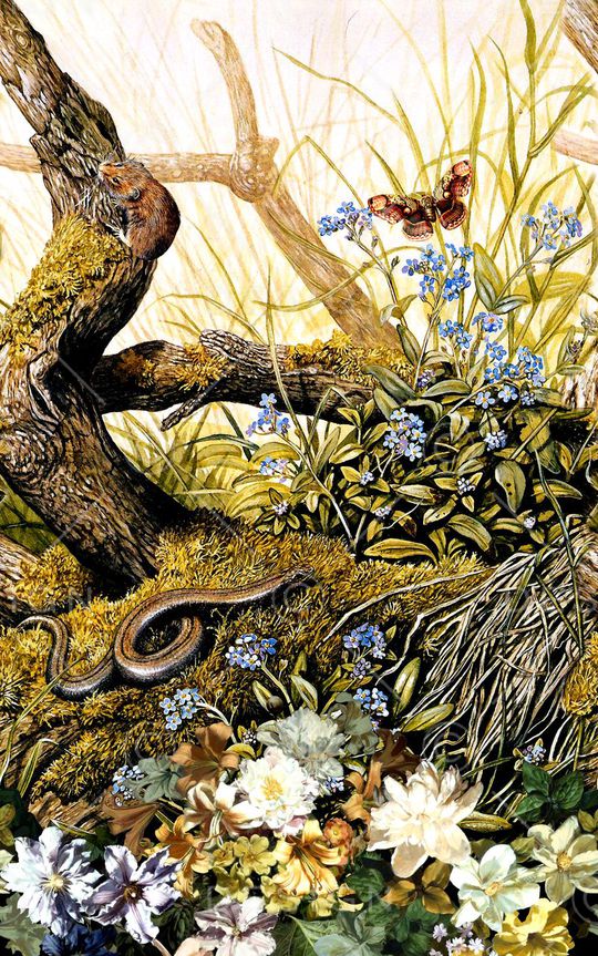 时尚印花华亿平台图片