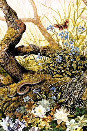 时尚印花华亿平台图片