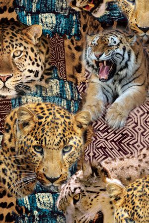 潮流时尚大牌印花华亿平台图片