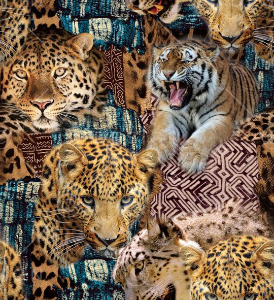 潮流时尚大牌印花华亿平台图片