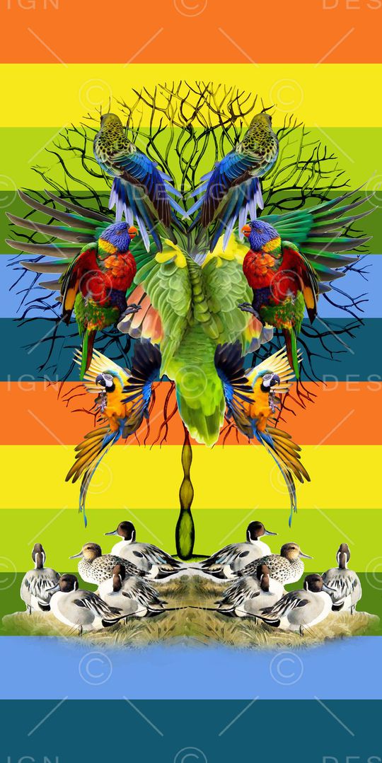 动物 热带鸟 鹦鹉印花华亿平台图片